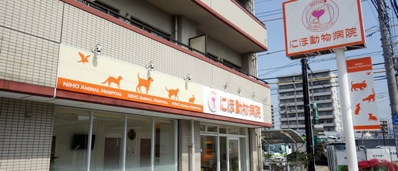 広島市南区のにほ動物病院は犬 猫 ウサギ フェレット ハムスター 小鳥を診療します